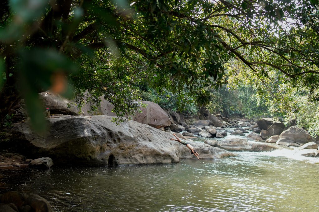 Resorts in Kerala